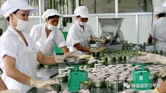 越南食品加工与包装业年均增长15 20 ,越南包装行业发展飞速